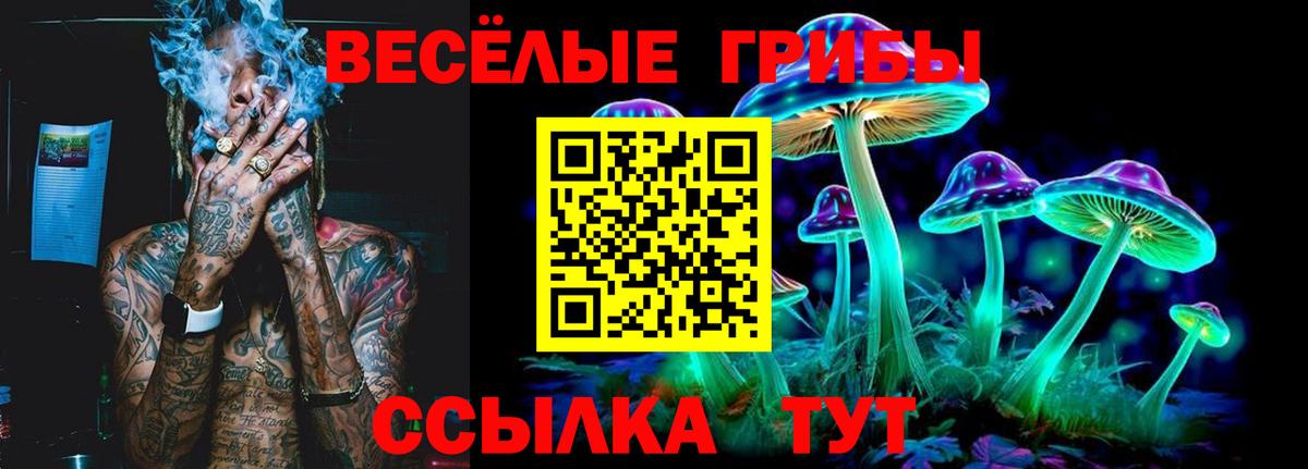 Крымск  Галлюциногенные грибы MAGIC MUSHROOMS  Вход с VPN 